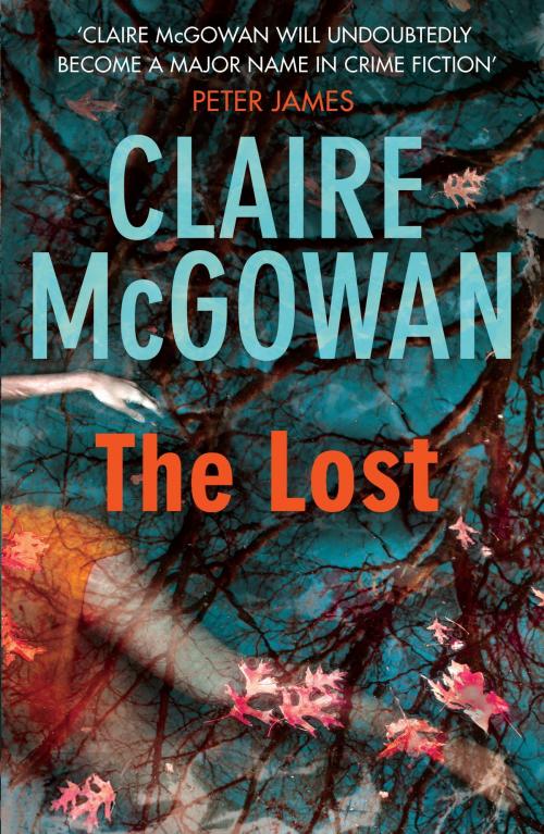 Cover of the book The Lost (Paula Maguire 1) by Claire McGowan, Headline