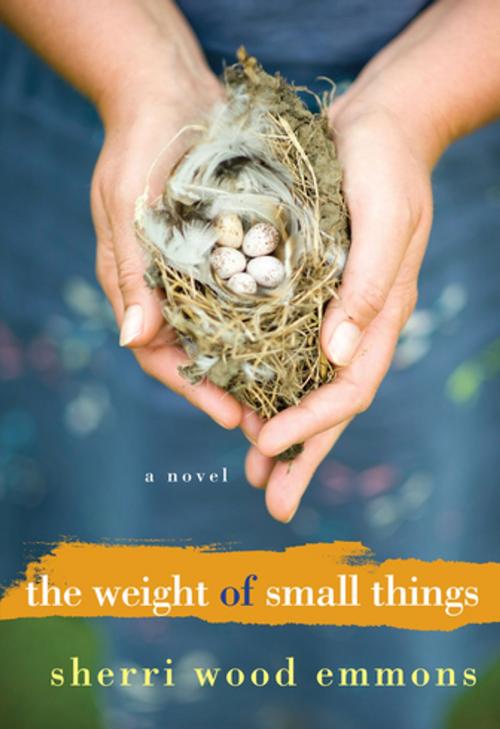 Cover of the book The Weight of Small Things by Sherri Wood Emmons, Kensington Books