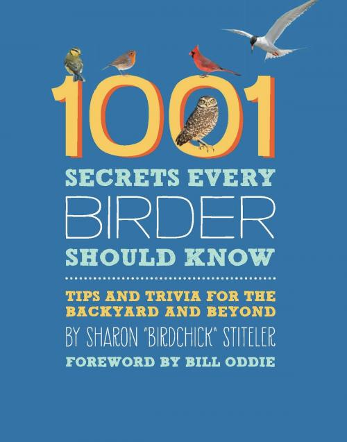 Cover of the book 1001 Secrets Every Birder Should Know by Sharon Stiteler, Running Press
