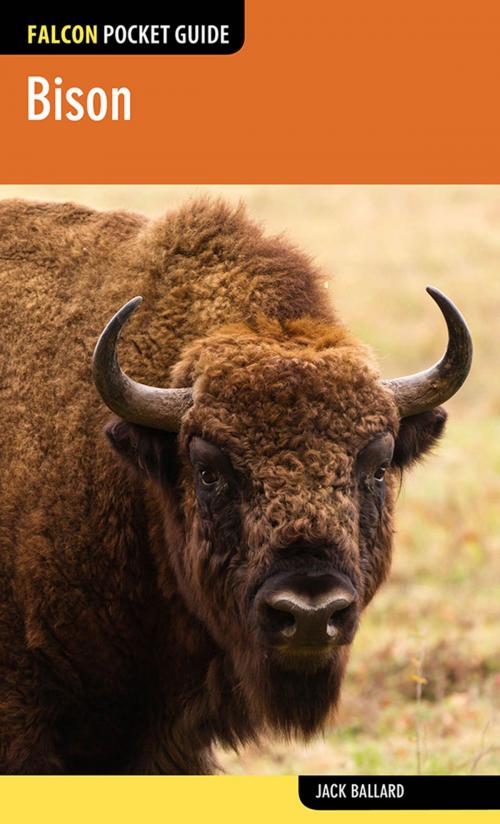 Cover of the book Bison by Jack Ballard, Falcon Guides