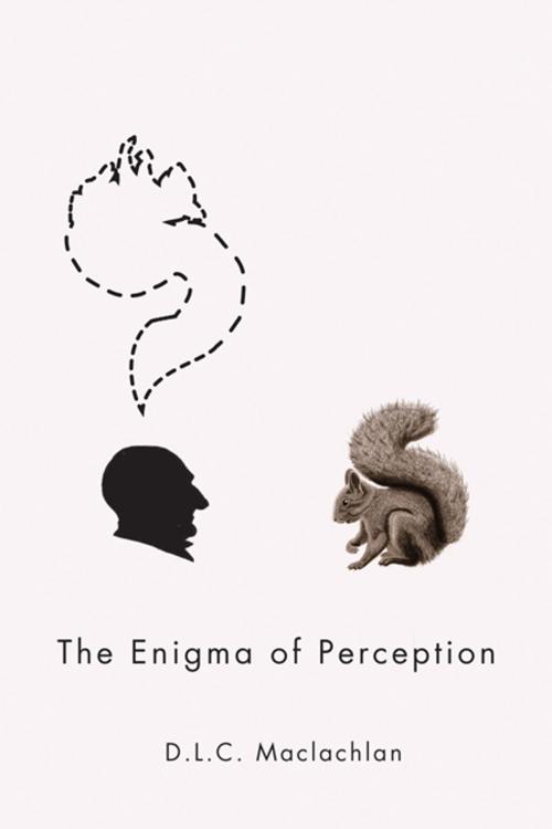 Cover of the book The Enigma of Perception by D.L.C. Maclachlan, MQUP