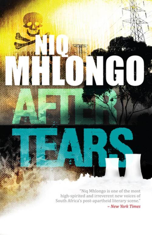 Cover of the book After Tears by Niq Mhlongo, Kwela