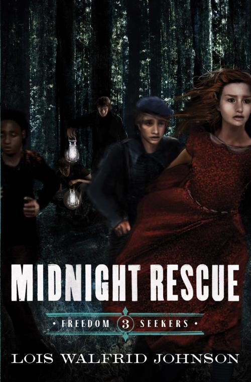 Cover of the book Midnight Rescue by Lois Walfrid Johnson, Moody Publishers
