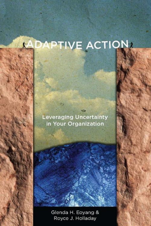 Cover of the book Adaptive Action by Glenda H. Eoyang, Royce J. Holladay, Stanford University Press