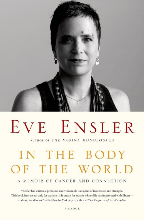 Cover of the book In the Body of the World by Eve Ensler, Henry Holt and Co.