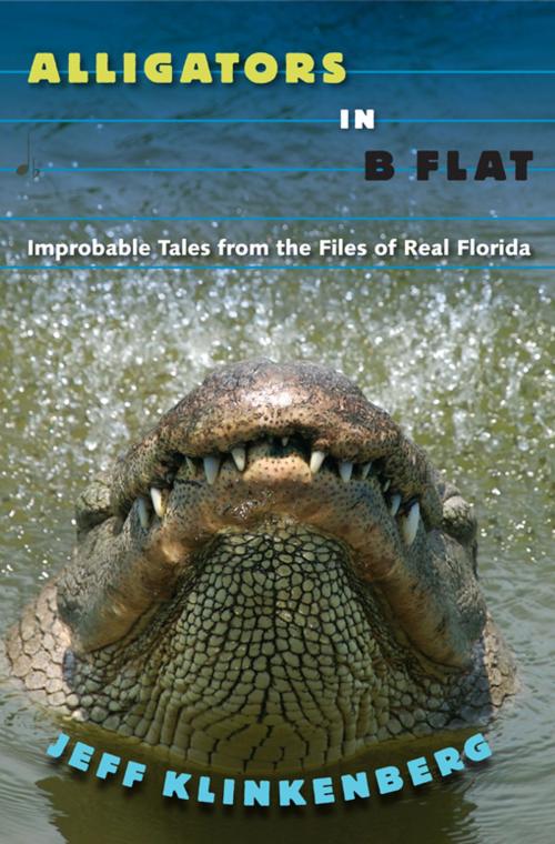 Cover of the book Alligators in B-Flat by Jeff Klinkenberg, University Press of Florida
