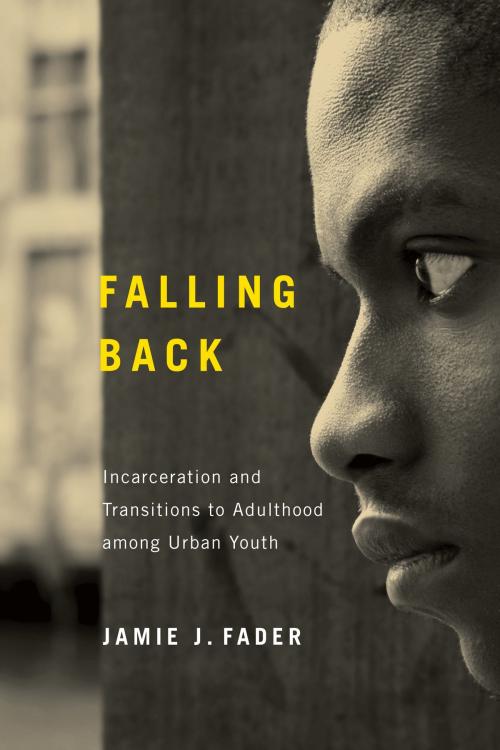 Cover of the book Falling Back by Jamie J. Fader, Rutgers University Press