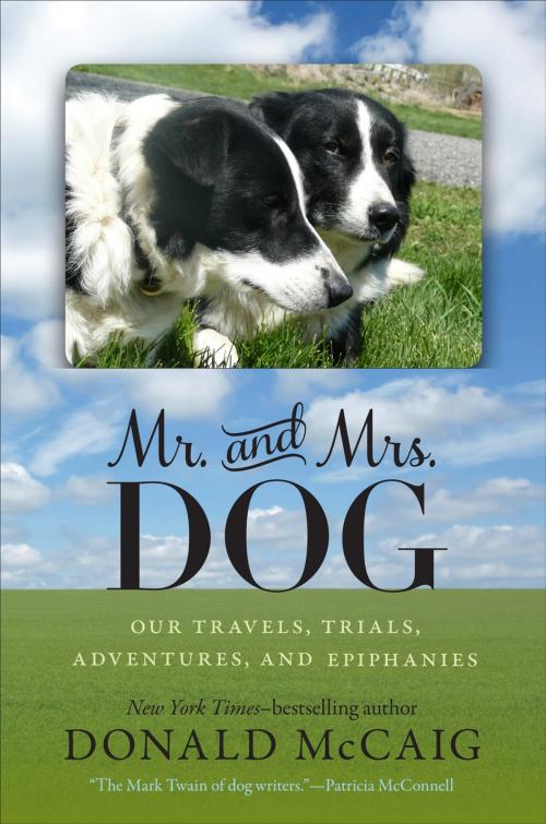 Cover of the book Mr. and Mrs. Dog by Donald McCaig, University of Virginia Press