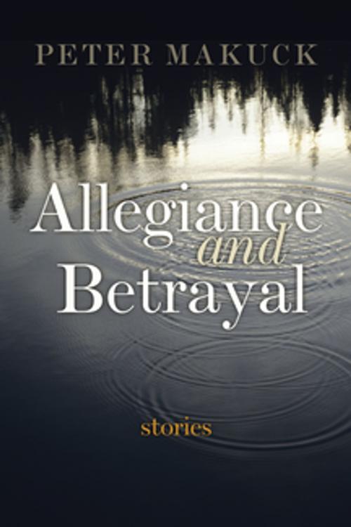 Cover of the book Allegiance and Betrayal by Peter Makuck, Syracuse University Press