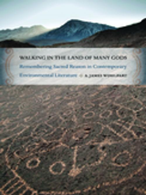 Cover of the book Walking in the Land of Many Gods by A. James Wohlpart, University of Georgia Press