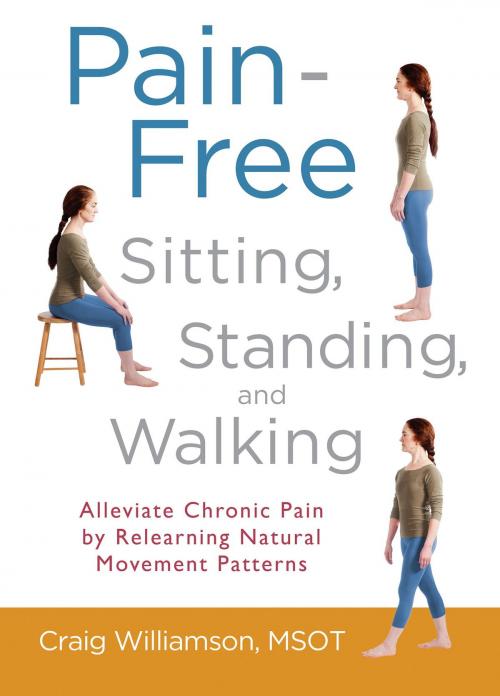 Cover of the book Pain-Free Sitting, Standing, and Walking by Craig Williamson, Shambhala