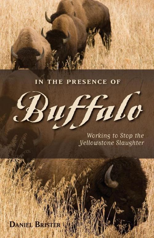Cover of the book In the Presence of Buffalo by Brister, West Margin Press