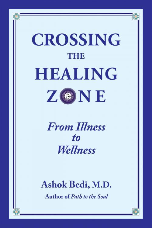 Cover of the book Crossing the Healing Zone by Ashok Bedi MD, Nicolas-Hays, Inc