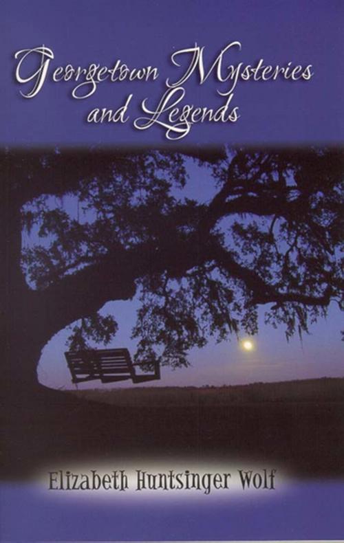 Cover of the book Georgetown Mysteries and Legends by Elizabeth Huntsinger Wolf, Blair