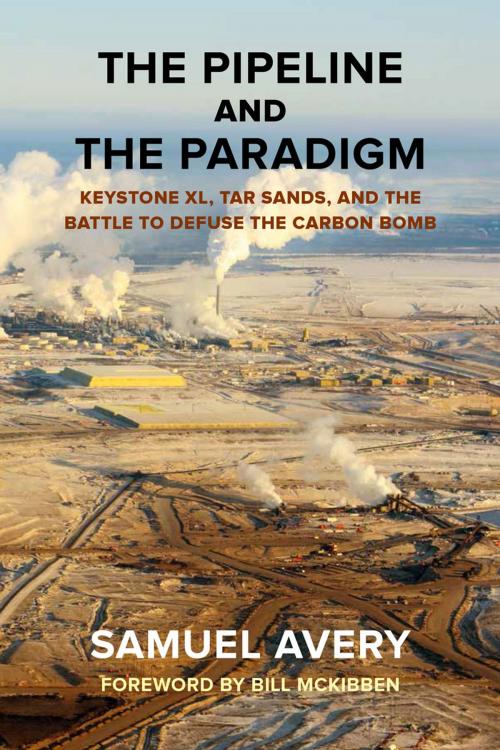 Cover of the book The Pipeline and the Paradigm by Samuel Avery, Ruka Press