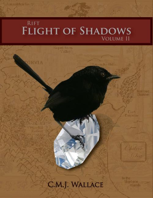 Cover of the book Flight of Shadows by C.M.J. Wallace, C.M.J. Wallace