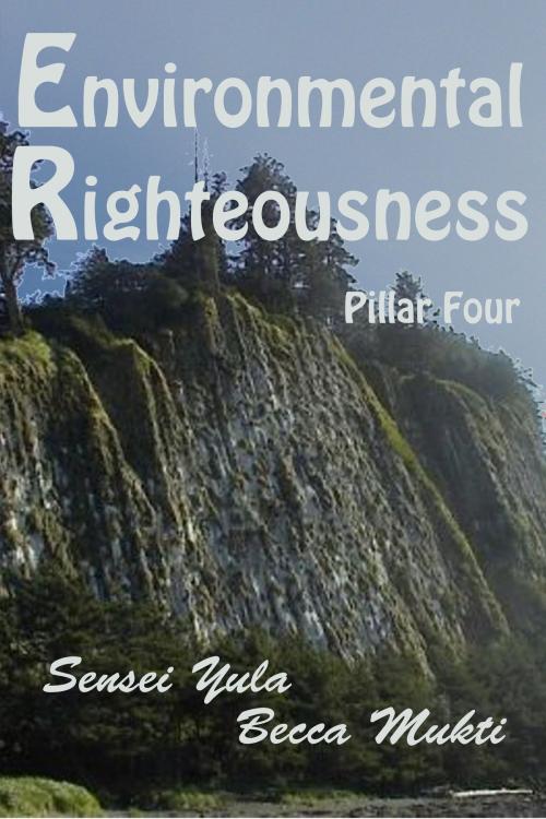 Cover of the book Environmental Righteousness: Pillar Four by Sensei Yula, Sensei Yula