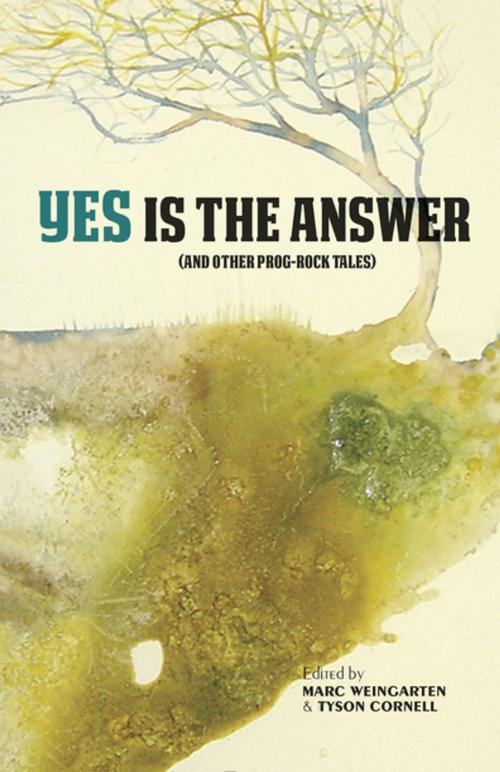 Cover of the book Yes Is The Answer by Rick Moody, Charles Bock, Seth Greenland, Rare Bird Books