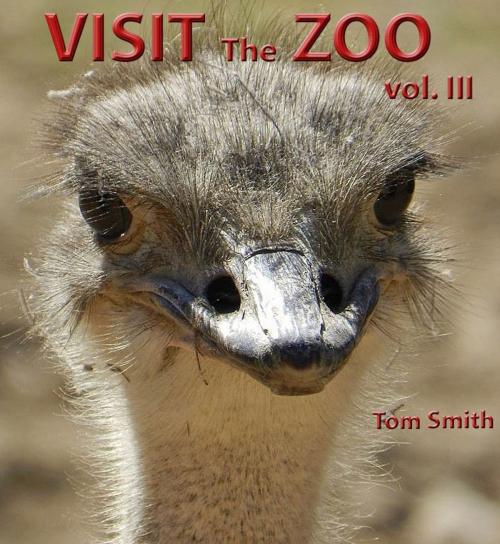 Cover of the book Visit the Zoo, vol. III by Frederick Fichman, Frederick Fichman