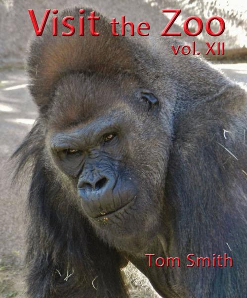 Cover of the book Visit the Zoo, vol. XII by Frederick Fichman, Frederick Fichman