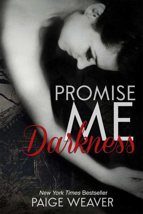 Cover of the book Promise Me Darkness by Paige Weaver, Paige Weaver LLC