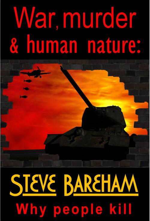 Cover of the book War, murder & human nature: Why people kill by Steve Bareham, Summa Publishing