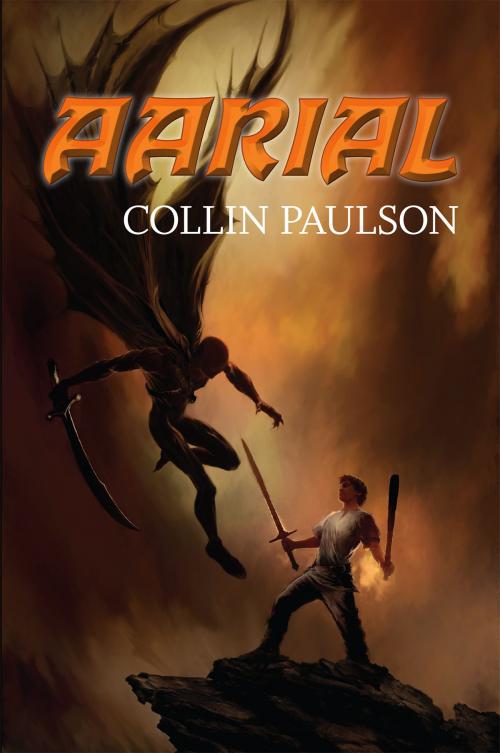 Cover of the book Aarial by Collin Paulson, Black Fly Publishing