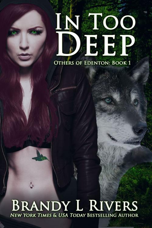 Cover of the book In Too Deep by Brandy L Rivers, Brandy L Rivers