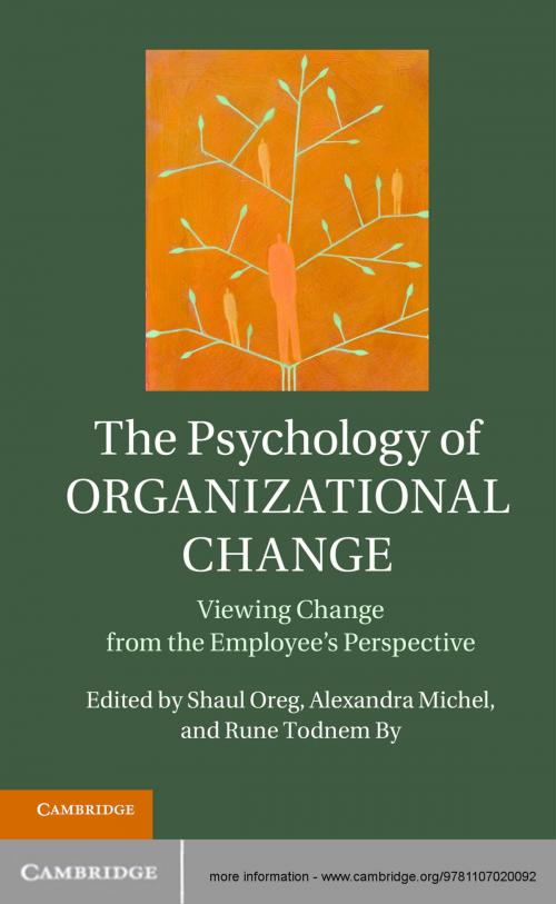 Cover of the book The Psychology of Organizational Change by , Cambridge University Press