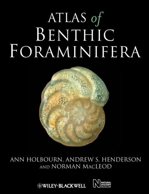 Cover of the book Atlas of Benthic Foraminifera by Ann Holbourn, Andrew S. Henderson, Norman Macleod, Wiley