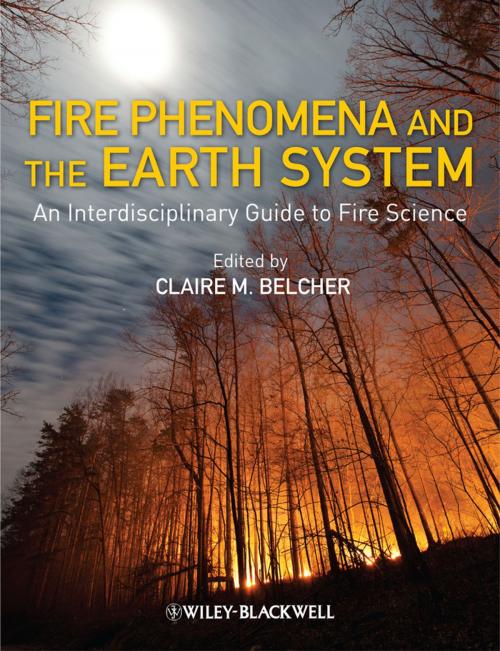 Cover of the book Fire Phenomena and the Earth System by , Wiley