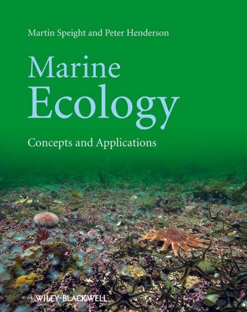 Cover of the book Marine Ecology by Martin R. Speight, Peter A. Henderson, Wiley