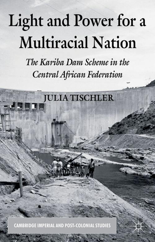 Cover of the book Light and Power for a Multiracial Nation by J. Tischler, Palgrave Macmillan UK