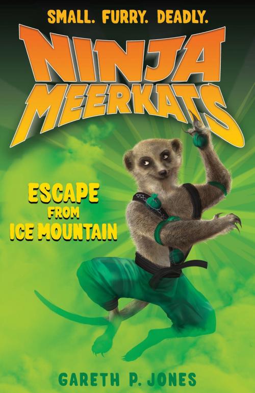 Cover of the book Ninja Meerkats (#3): Escape from Ice Mountain by Gareth P. Jones, Square Fish