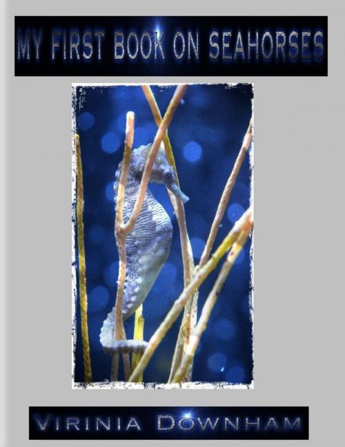 Cover of the book My First Book on Seahorses by Virinia Downham, Lulu.com