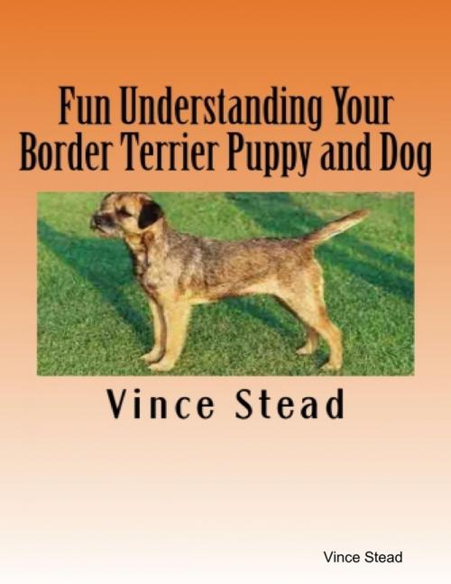 Cover of the book Fun Understanding Your Border Terrier Puppy and Dog by Vince Stead, Lulu.com