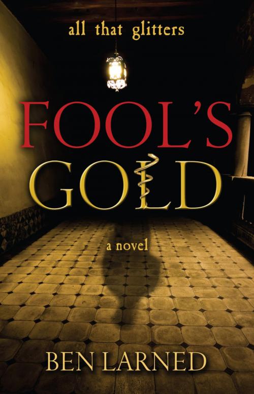 Cover of the book Fool's Gold by Ben Larned, Ben Larned