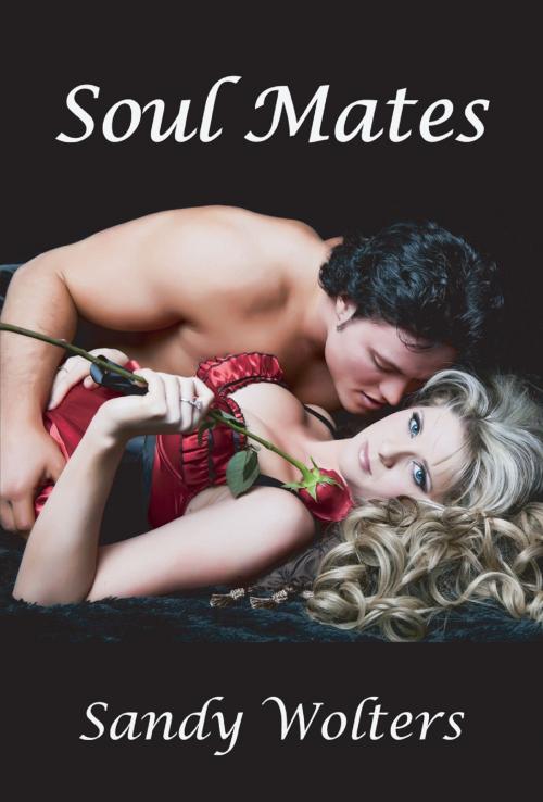 Cover of the book Soul Mates by Sandy Wolters, Sandy Wolters