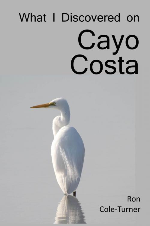 Cover of the book What I Discovered on Cayo Costa by Ron Cole-Turner, Ron Cole-Turner