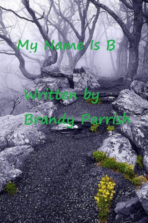 Cover of the book My Name Is B by Brandy Parrish, Brandy Parrish