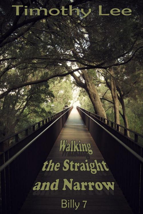 Cover of the book Walking the Straight and Narrow: Billy 7 by Timothy Lee, Timothy Lee
