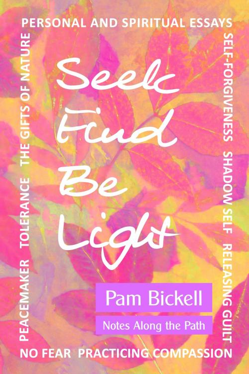 Cover of the book Seek Find Be Light by Pam Bickell, Pam Bickell