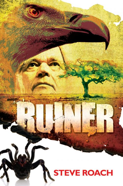 Cover of the book Ruiner by Steve Roach, Steve Roach