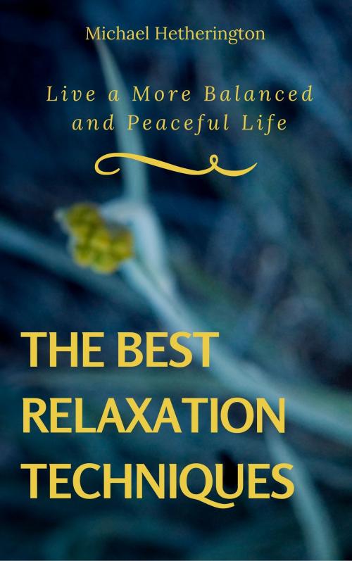 Cover of the book The Best Relaxation Techniques: Live a More Balanced and Peaceful Life by Michael Hetherington, Michael Hetherington