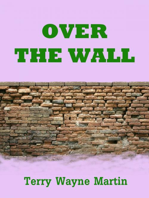 Cover of the book Over the Wall by Terry Wayne Martin, Martian Publishing
