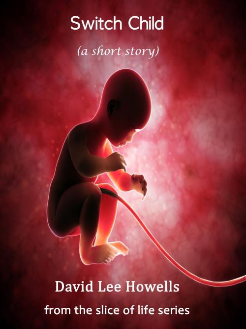 Cover of the book Switch Child by David Howells, David Howells