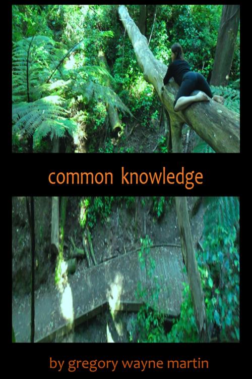 Cover of the book Common Knowledge by Gregory Wayne Martin, Gregory Wayne Martin