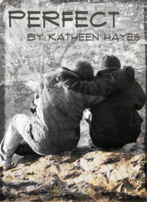 Cover of the book Perfect by Kathleen Hayes, Kathleen Hayes