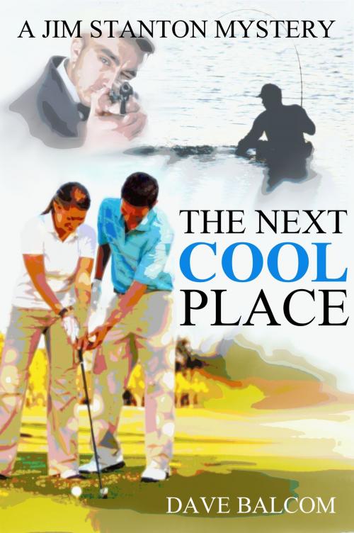 Cover of the book The Next Cool Place by Dave Balcom, Dave Balcom