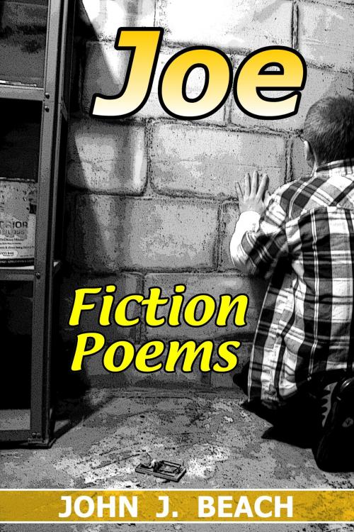 Cover of the book Joe by John Beach, John Beach